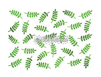 ksd261 szablon stamperia liść akacji