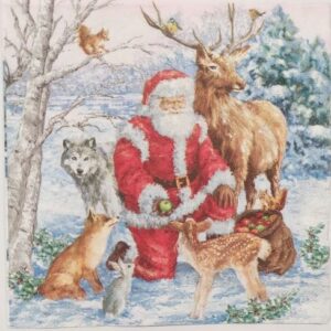 święty Mikołaj i zwierzęta